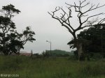 umhlanga-new-town-centre-umhlanga-ridge-boulevard-views-open-space-6