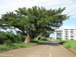 umhlanga-new-town-meridian-drive-63