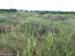 umhlanga-new-town-umhlanga-ridge-boulevard-open-development-land-1