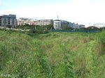 umhlanga-new-town-umhlanga-ridge-boulevard-open-development-land-8
