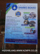 Ridgeside-Sharks-Board46