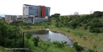 Umhlanga Ridgeside 2018 Strauss Daly
