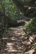 Hawaan Nature  Reserve - trails (2)