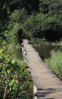 Hawaan Nature  Reserve - trails (6)