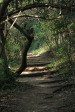 Hawaan Nature  Reserve - trails (7)