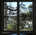 Umhlanga Peace Cottage outlook (1)