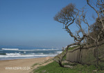 Umhlanga Peace Cottage outlook (4)