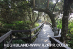 Umhlanga-beach-and-lagoon-1