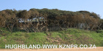 Umhlanga-beach-and-lagoon-5