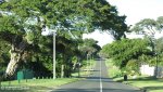 umhlanga-rocks-ridge-road-4