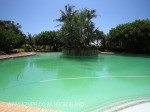 Edge of the sea pool. (1)