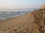 umdloti-main-beach-s-29-39-918-e-31-07-327-elev-10m-3