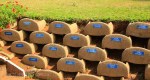 Umkomaas Golf Club - Loffestein Donors (3)