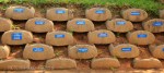 Umkomaas Golf Club - Loffestein Donors (6)