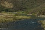 Umkomaas River - Hella Hella Bridge - S 29.54.27 E 30.05.38 Elev 562m (19)