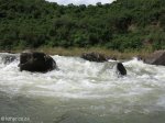 Umkomaas River - Hella Hella - No 1 approaches rapids  (2)