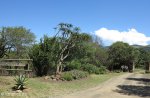 Umkomaas River - High Over Cottage - Hella Hella - Entrance Gate