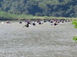 Umkomaas River marathon - 2013 - Below Josephines Bridge (1)