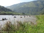 Umkomaas River marathon - 2013 - Below Josephines Bridge (4)