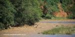 Umkomass-River-Day-2-Number-8-70
