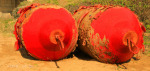 Umkomaas River - North bank Buoys  (1)