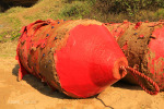 Umkomaas River - North bank Buoys   (1)