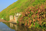 Umkomaas River - old seats - south bank (6)