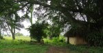 Umlaas Road - Mandalay Hotel - Old entrance and functions room -