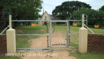St Patricks Church entrance(82)