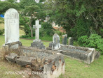 St Patricks Church grave Christina McGregor   (179)