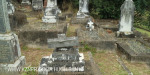 St Patricks Church grave Elizabeth Austin  (112)