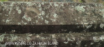 St Patricks Church grave  view (176)