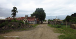 Umzinto road - R612 - Braemar -  (8)
