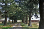 Pevensey Cerebral Palsy Home (3)