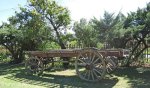 utrecht-kerk-street-loop-old-parsonage-museum-1888-ox-wagon-2