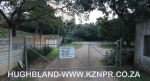 Froggy-Pond-nursery-10