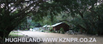 Froggy-Pond-nursery-11