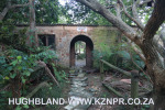 Froggy-Pond-nursery-12