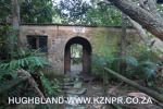 Froggy-Pond-nursery-13