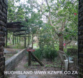 Froggy-Pond-nursery-14