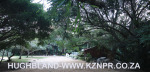 Froggy-Pond-nursery-15