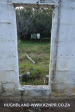 Froggy-Pond-nursery-21