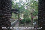 Froggy-Pond-nursery-22