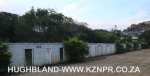 Froggy-Pond-nursery-8
