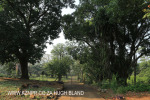 Canelands  Hazlemere Farm Kranz Road Driveway (1)