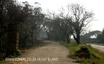 Canelands  Hazlemere Farm Kranz Road Driveway (4)