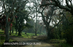 Canelands  Hazlemere Farm Kranz Road Driveway (6)