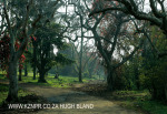 Canelands  Hazlemere Farm Kranz Road Driveway (7)