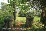 Canelands  Hazlemere Farm Kranz Road gardens (12)