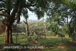 Canelands  Hazlemere Farm Kranz Road gardens
